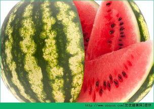 免费吃瓜天天不一样,每日新鲜，尽享娱乐盛宴  第3张