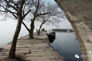 苏州西山爆料事件视频,视频揭露惊人真相 第1张 苏州西山爆料事件视频,视频揭露惊人真相 第1张