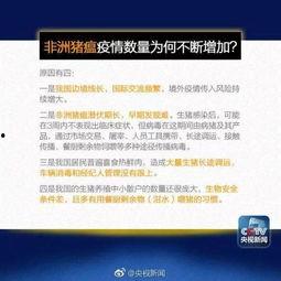 长汀新闻爆料电话查询,揭秘民生热点，倾听民意心声  第3张